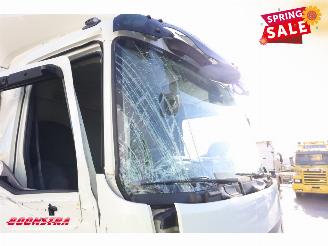 DAF LF 210 FA Aut. LBW Bak-Klep Dhollandia ACC 368.328 km! picture 13