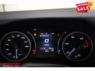 Iveco Daily 35S18H HiMatic Navi Clima Cruise Camera AHK picture 13