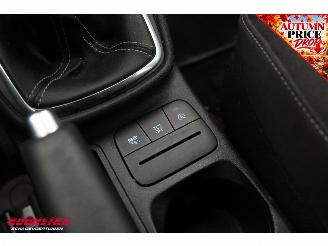 Ford Fiesta 1.0 EcoBoost Hybrid Titanium Cruise Clima SHZ LrHZ picture 21