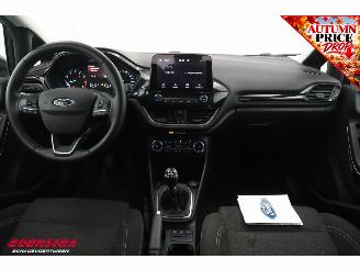 Ford Fiesta 1.0 EcoBoost Hybrid Titanium Cruise Clima SHZ LrHZ picture 12