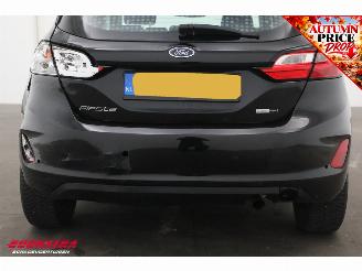 Ford Fiesta 1.0 EcoBoost Hybrid Titanium Cruise Clima SHZ LrHZ picture 8