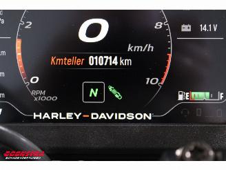 Harley-Davidson  RA1250S Pan America Special Adaptive Ride Height ABS LED Cruise Heizgriffe picture 10