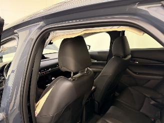 Mazda CX-30 2.0 E-Skyactiv X MHEV Luxury picture 19