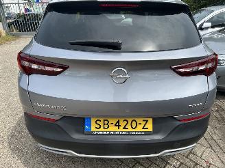 Opel Grandland X 1.2 Turbo picture 6