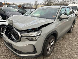 Auto incidentate Skoda Kodiaq 1.5 TSI  PHEV  Business Edition  Automaat 2025/8