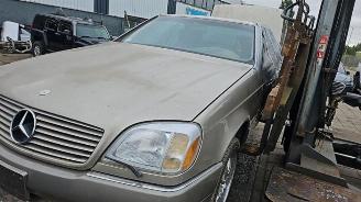 Mercedes S-klasse S (C140), Coupe, 1992 / 1999 6.0 600 Coupe 48V picture 3