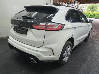 Ford Edge 2.0 Ecoblue A picture 6