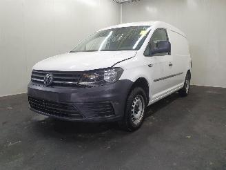 Volkswagen Caddy maxi SAH 2.0 TDI L2H1 BlueMotion picture 3