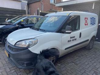 Fiat Doblo Doblo Cargo (263), Van, 2010 1.3 D Multijet picture 1