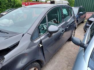 Opel Meriva  picture 6