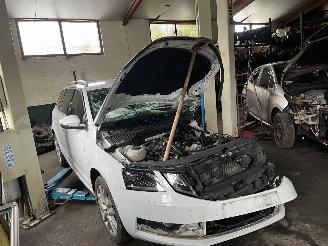 Autoverwertung Skoda Octavia 1.0 tsi 2019/5