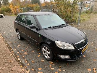 Skoda Fabia 1.2 TDI GREENLINE picture 2
