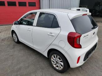 Kia Picanto Picanto (JA), Hatchback, 2017 1.0 12V picture 3
