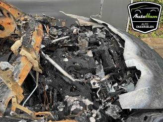 BMW X5 X5 (F15), SUV, 2013 / 2018 xDrive 40e 2.0 picture 10