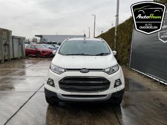 Ford EcoSport  picture 3