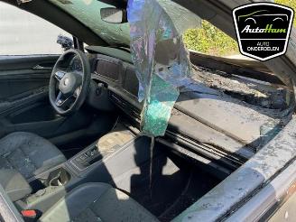 Volkswagen Golf Golf VIII (CD1), Hatchback, 2019 2.0 TSI R 16V 4Motion picture 6