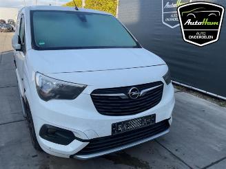 Opel Combo Combo Cargo, Van, 2018 1.5 CDTI 130 picture 3