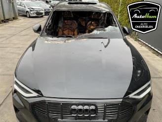 Audi E-tron E-tron (GEN), SUV, 2018 55 quattro picture 5