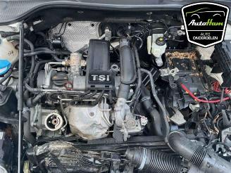 Volkswagen Golf Golf VI Cabrio (1K), Cabrio, 2011 / 2016 1.2 TSI picture 15