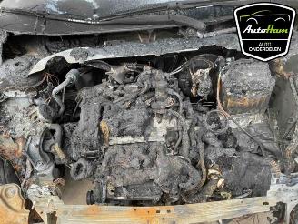 Volkswagen Polo Polo VI (AW1), Hatchback 5-drs, 2017 1.0 TSI 12V picture 31