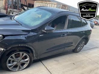 Ford Kuga Kuga III (DFK), SUV, 2019 2.5 PHEV 16V picture 5