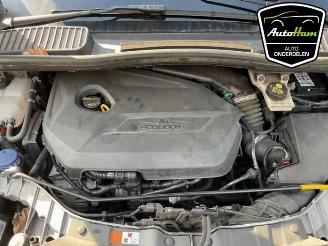 Ford C-Max C-Max (DXA), MPV, 2010 / 2019 1.6 SCTi 16V picture 16