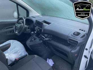 Opel Combo Combo Cargo, Van, 2018 1.5 CDTI 130 picture 19