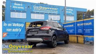 Ford Kuga Kuga II (DM2), SUV, 2012 2.0 TDCi 16V 163 4x4 picture 4