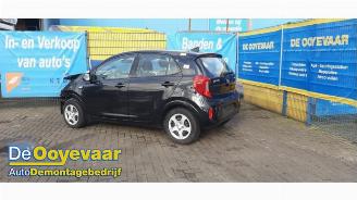 Purkuautot passenger cars Kia Picanto Picanto (JA), Hatchback, 2017 1.0 12V 2020/3