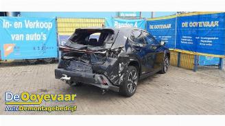 Lexus UX UX, SUV, 2019 250h 2.0 16V picture 6