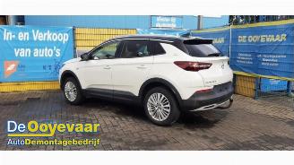 Opel Grandland Grandland (X), SUV, 2017 1.2 Turbo 12V picture 1