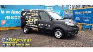 disassembly passenger cars Fiat Doblo Doblo Cargo (263), Van, 2010 1.6 D Multijet 2021/10