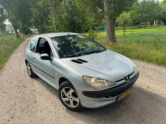 Peugeot 206  picture 6