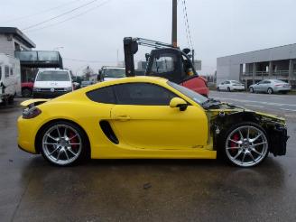 Porsche Cayman GTS picture 4