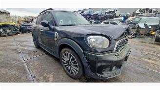 Mini Countryman Countryman (F60), SUV, 2016 1.5 TwinPower Turbo 12V Cooper SE ALL4 picture 8