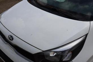 Kia Picanto Picanto (JA), Hatchback, 2017 1.0 12V picture 29