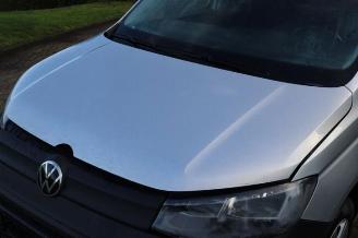 Volkswagen Caddy Caddy Cargo V (SBA/SBH), Van, 2020 2.0 TDI BlueMotionTechnology picture 9