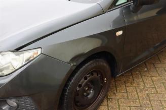 Seat Ibiza Ibiza ST (6J8), Combi, 2010 / 2016 1.2 TDI Ecomotive picture 30