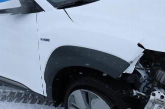 Hyundai Kona Kona (OS), SUV, 2017 / 2023 64 kWh picture 16