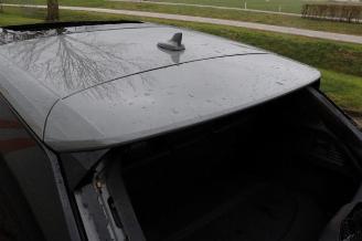 Audi Q2 Q2 (GAB/GAG), SUV, 2016 2.0 TDI 16V 190 Quattro picture 25