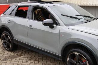 Audi Q2 Q2 (GAB/GAG), SUV, 2016 2.0 TDI 16V 190 Quattro picture 17