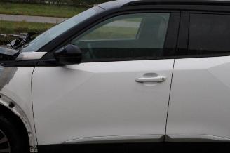 Peugeot 2008 2008 (UD/UK/UR/US/UX), MPV, 2019 1.2 VTi 12V PureTech 100 picture 33