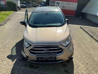 Ford EcoSport EcoSport (JK8), SUV, 2013 1.0 EcoBoost 12V 125 picture 8