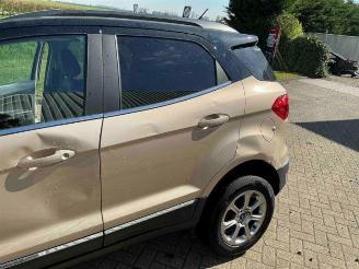 Ford EcoSport EcoSport (JK8), SUV, 2013 1.0 EcoBoost 12V 125 picture 22