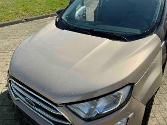 Ford EcoSport EcoSport (JK8), SUV, 2013 1.0 EcoBoost 12V 125 picture 13