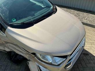 Ford EcoSport EcoSport (JK8), SUV, 2013 1.0 EcoBoost 12V 125 picture 15