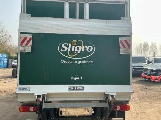 Renault Master Master III (EV/HV/UV/VA/VB/VD/VF/VG/VJ), Chassis-Cabine, 2010 2.3 dCi 165 16V RWD picture 31