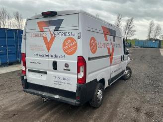 Fiat Ducato Ducato (250), Bus, 2006 2.3 D 130 Multijet Minibus Extralongo picture 7