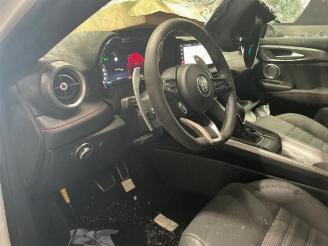 Alfa Romeo Tonale Tonale, SUV, 2022 1.3 T Hybrid Q4 picture 19