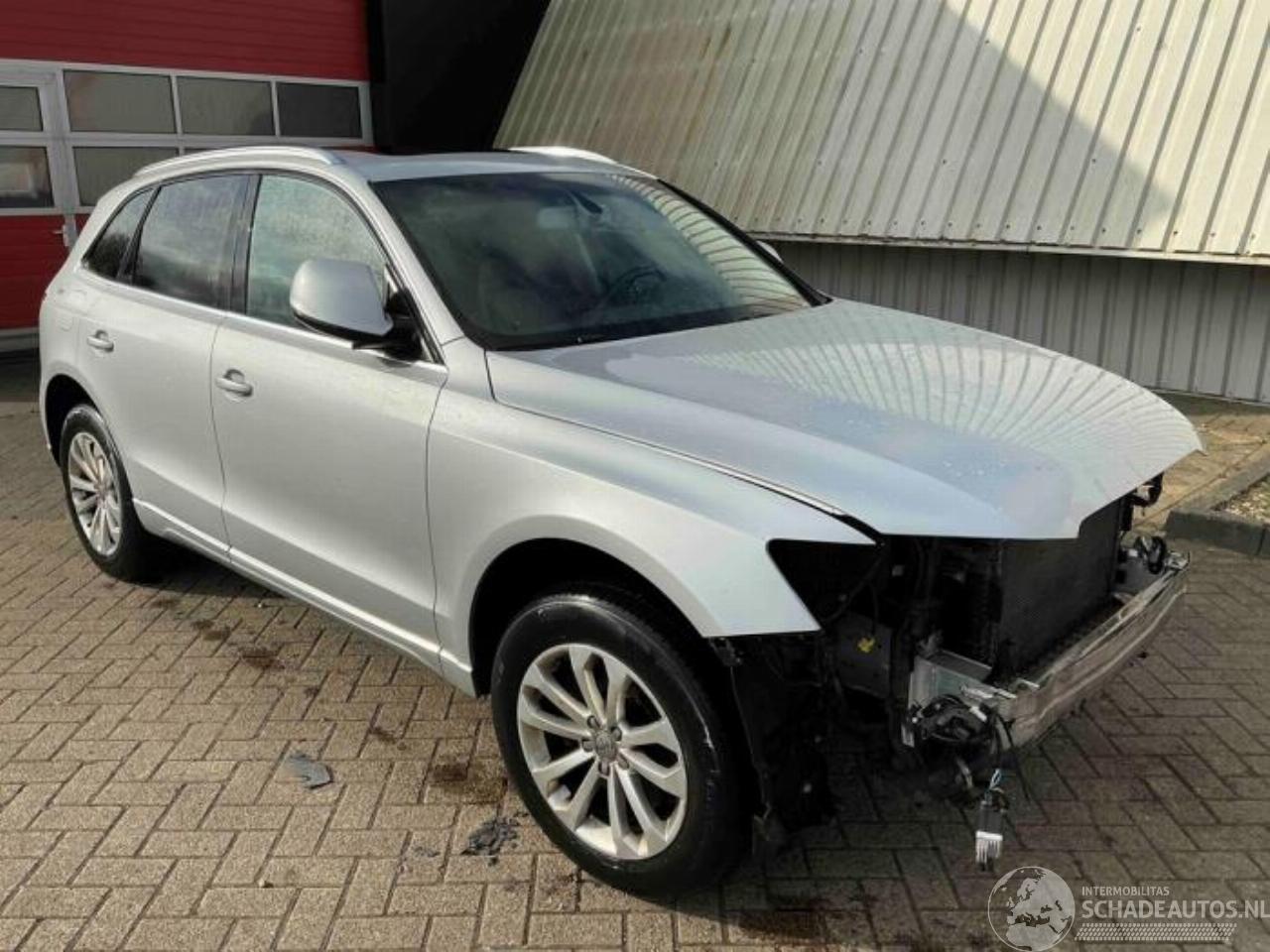 Audi Q5 Q5 (8RB), SUV, 2008 / 2017 2.0 TFSI 16V Quattro